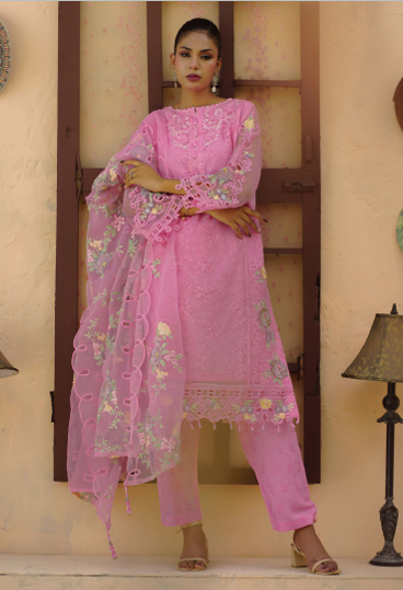 Noors Liya Fancy Organza Collection