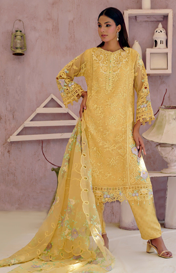 Noors Liya Fancy Organza Collection