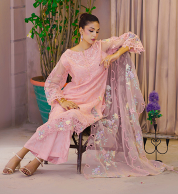 Noors Liya Fancy Organza Collection