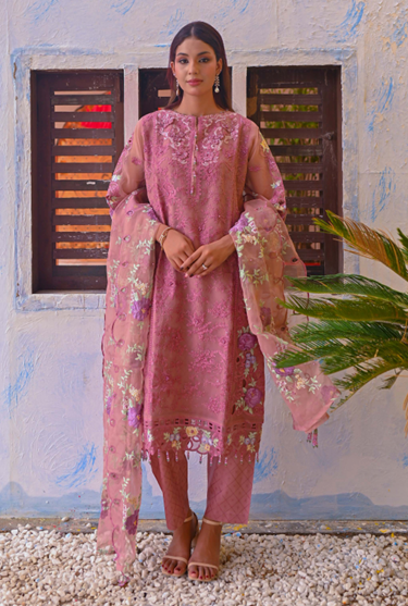 Noors Liya Fancy Organza Collection