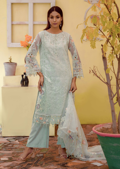 Noors Liya Fancy Organza Collection