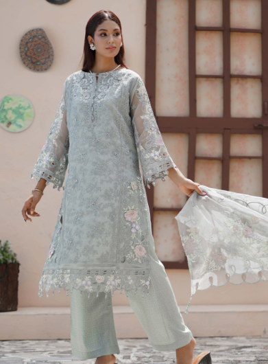 Noors Liya Fancy Organza Collection