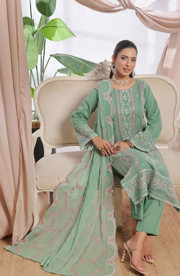 AAINA Luxury EMB Chiffon-1